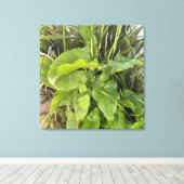Achtertuin Garden Close-up Outdoor Natuur Foto Canvas Afdruk (Insitu (Houten vloer))