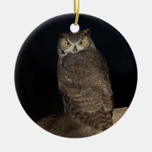 Achtertuin Grote Gehoornde Uil Keramisch Ornament
