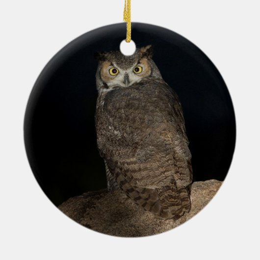 Achtertuin Grote Gehoornde Uil Keramisch Ornament (Achterkant)