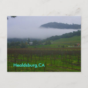 achtertuin, Healdsburg, CA Briefkaart