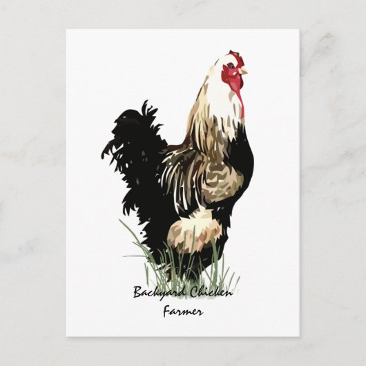 Achtertuin kippenboer met roosterontwerp briefkaart (Voorkant)