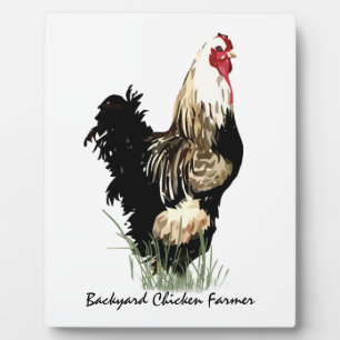 Achtertuin kippenboer met roosterontwerp fotoplaat