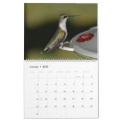 Achtertuin Kolibries 11 "x 14.25" Kalender (Jan 2027)