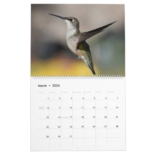 Achtertuin Kolibries 11 "x 14.25" Kalender (Mar 2026)