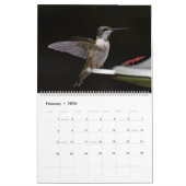 Achtertuin Kolibries 11 "x 14.25" Kalender (Feb 2026)