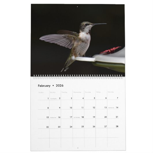 Achtertuin Kolibries 11 "x 14.25" Kalender (Feb 2026)
