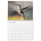 Achtertuin Kolibries 8,5 "x 11" Kalender (Mar 2026)