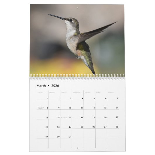 Achtertuin Kolibries 8,5 "x 11" Kalender (Mar 2026)