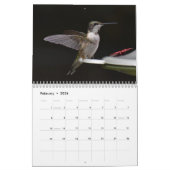 Achtertuin Kolibries 8,5 "x 11" Kalender (Feb 2026)