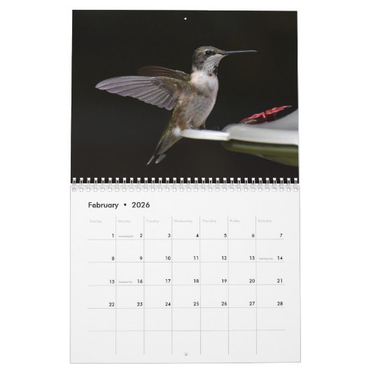 Achtertuin Kolibries 8,5 "x 11" Kalender (Feb 2026)