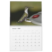 Achtertuin Kolibries 8,5 "x 11" Kalender (Jan 2027)