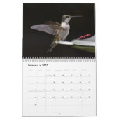 Achtertuin Kolibries 8,5 "x 11" Kalender (Feb 2027)