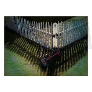 Achtertuin maan   ~Carl Sandburg