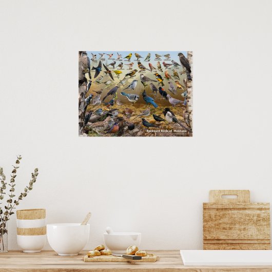 Achtertuin van Montana Poster (Keuken)