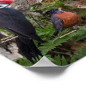 Achtertuin van Nova Scotia Poster (Hoek)