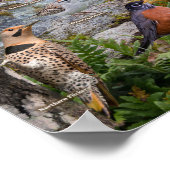 Achtertuin van Ohio Poster (Hoek)