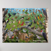 Achtertuin van Ohio Poster (Voorkant)