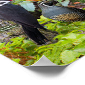 Achtertuin van Western Oregon Poster (Hoek)