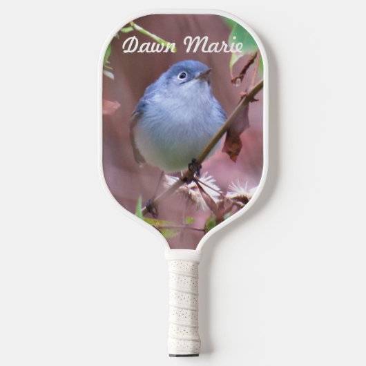 Achtertuin Vogel - Blue-Grey Gnatcather Gepersonal Pickleball Paddle (Voorkant)