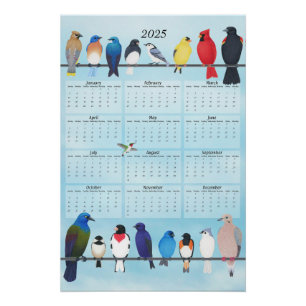 Achtertuin Vogels 2025 Wandkalender Perfect Poster