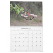 Achtertuin Vogels Birdwatcher Kalender (Feb 2027)