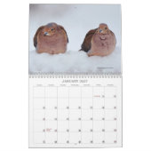 Achtertuin Vogels Birdwatcher Kalender (Jan 2027)