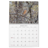 Achtertuin Vogels Birdwatcher Kalender (Mar 2027)