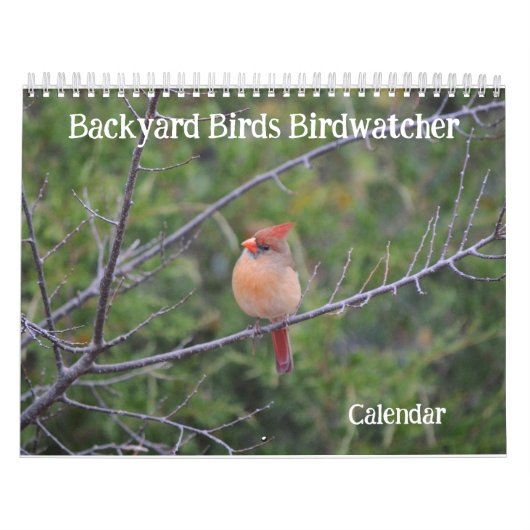 Achtertuin Vogels Birdwatcher Kalender (Hoes)