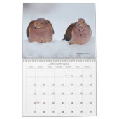 Achtertuin Vogels Birdwatcher Kalender (Jan 2026)