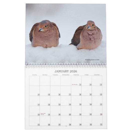 Achtertuin Vogels Birdwatcher Kalender (Jan 2026)