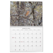 Achtertuin Vogels Birdwatcher Kalender (Mar 2026)