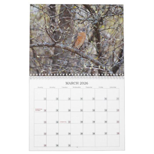 Achtertuin Vogels Birdwatcher Kalender (Mar 2026)