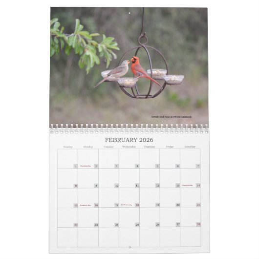 Achtertuin Vogels Birdwatcher Kalender (Feb 2026)