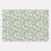 Achtertuin vogels en tuinbloemen gesorteerd inpakpapier vel (Voorkant 2)