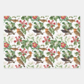 Achtertuin vogels en tuinbloemen gesorteerd inpakpapier vel (Voorkant)