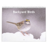 Achtertuin vogels foto's & kunst kalender (Hoes)
