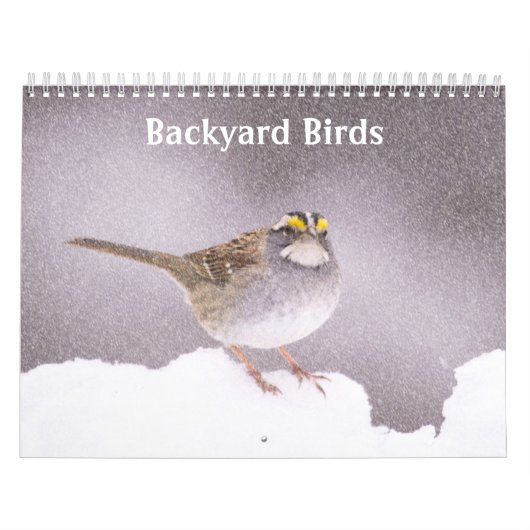 Achtertuin vogels foto's & kunst kalender (Hoes)