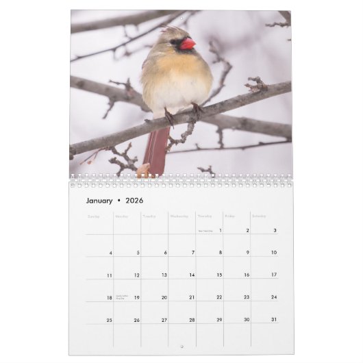 Achtertuin vogels foto's & kunst kalender (Jan 2026)