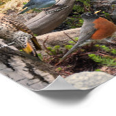 Achtertuin vogels in het noorden poster (Hoek)