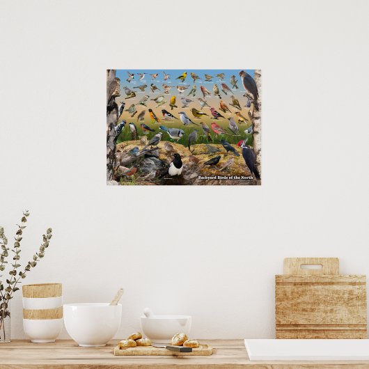 Achtertuin vogels in het noorden poster (Keuken)