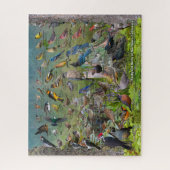 Achtertuin vogels in Noord-Californië Legpuzzel (Verticaal)