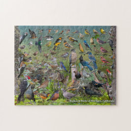 Achtertuin vogels in Noord-Californië Legpuzzel
