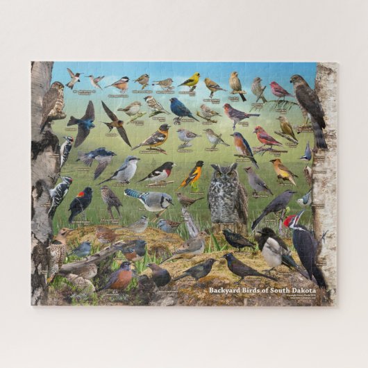 Achtertuin vogels in South Dakota Legpuzzel (Horizontaal)