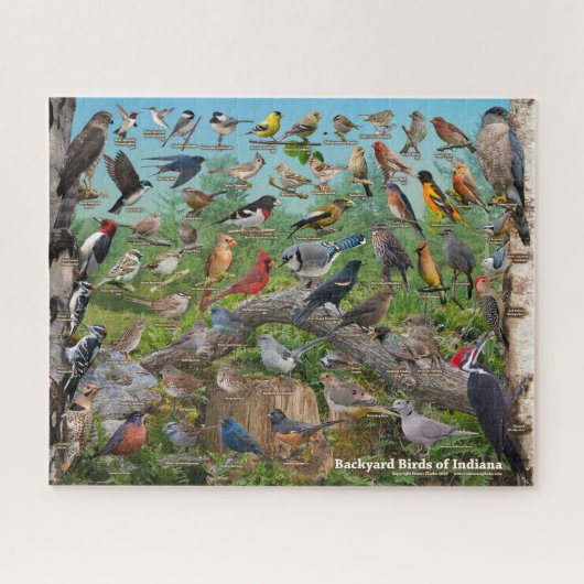 Achtertuin vogels Indiana Puzzle Legpuzzel (Horizontaal)