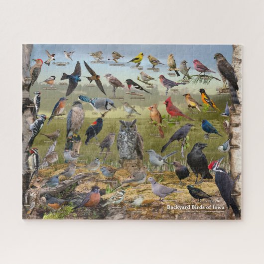 Achtertuin vogels Iowa Legpuzzel (Horizontaal)