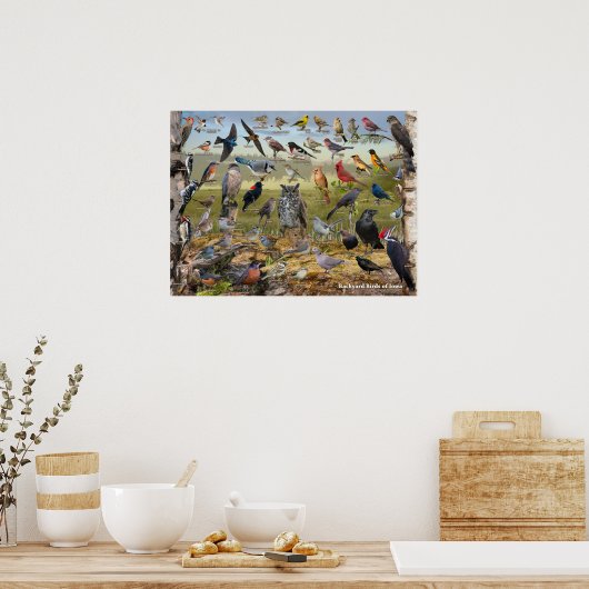 Achtertuin vogels Iowa Poster (Keuken)