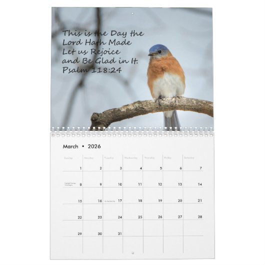 Achtertuin vogels kalender (Mar 2026)