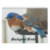 Achtertuin vogels kalender (Hoes)