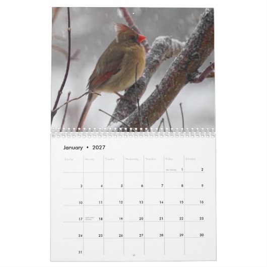 Achtertuin vogels kalender (Jan 2027)