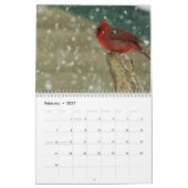 Achtertuin vogels kalender (Feb 2027)